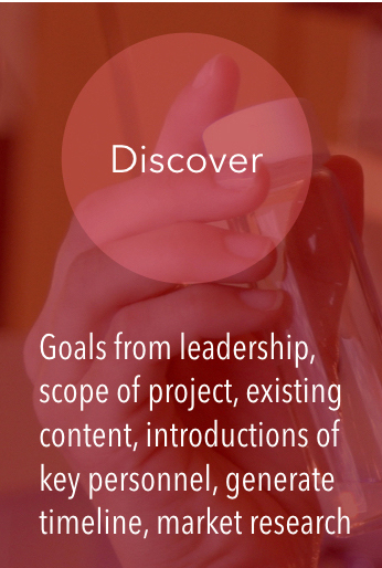 Course Development - 1. Discover - Goals from leadership, scope of project, existing content, introductions of key personnel, generate timeline, market research